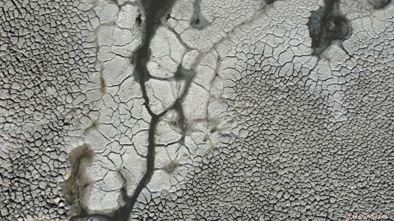 Urgent Efforts to Restore the Great Salt Lake: Are They Sufficient?