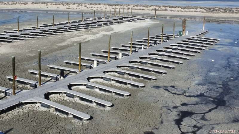 Urgent Efforts to Restore the Great Salt Lake: Are They Sufficient?