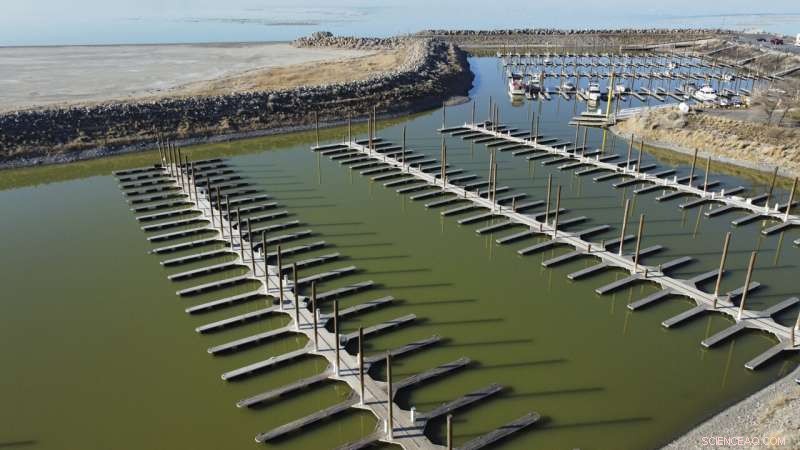 Urgent Efforts to Restore the Great Salt Lake: Are They Sufficient?
