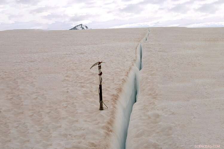 Tokyo Scientists Develop Model Linking Red Snow Blooms to Snow Melt and New Snowfall