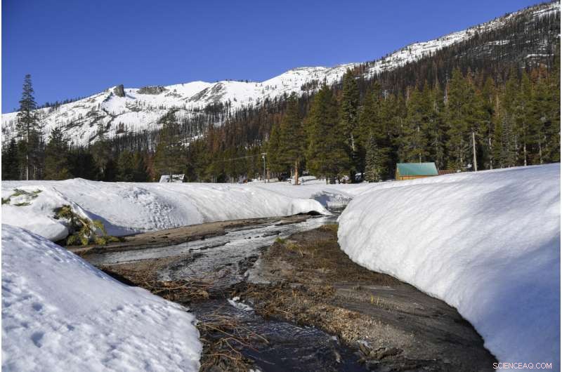Dry January Lowers California Snowpack, Threatening Water Supplies