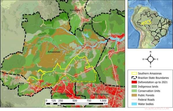 Brazil s Government Converts Public Land to Private Ownership, Accelerating Deforestation