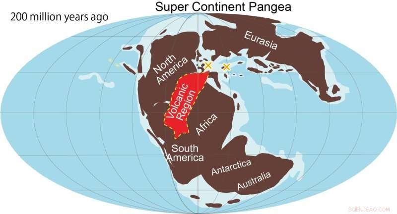 End‑Triassic Volcanic Activity: How Cooling Shaped a Mass Extinction and Dinosaur Evolution