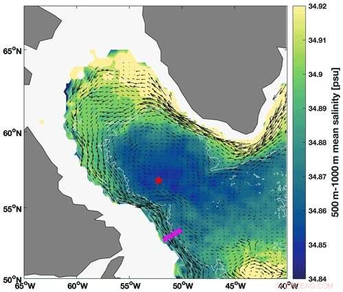 Oxygen Flow: The Global Lifeline Connecting the Labrador Sea to All Oceans