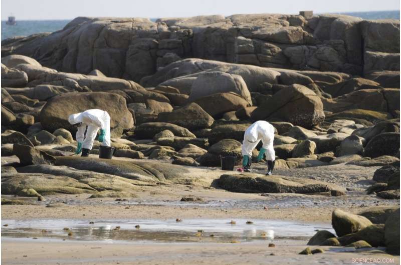 Strong Winds and Cleanup Operations Keep Oil Spill from Reaching Thailand’s Resort Island