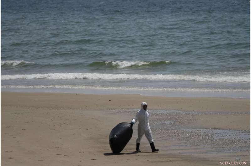 Strong Winds and Cleanup Operations Keep Oil Spill from Reaching Thailand’s Resort Island
