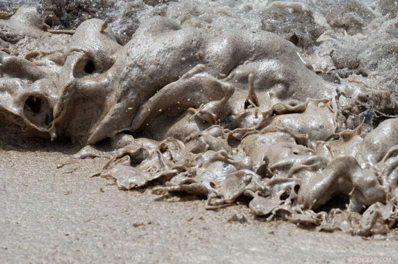 Peru Officials Report Oil Spill Double Initial Estimates, Heightening Cleanup Efforts