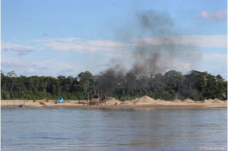 Peruvian Gold Rush Turns Amazon Rainforests into Major Mercury Pollution Hotspots