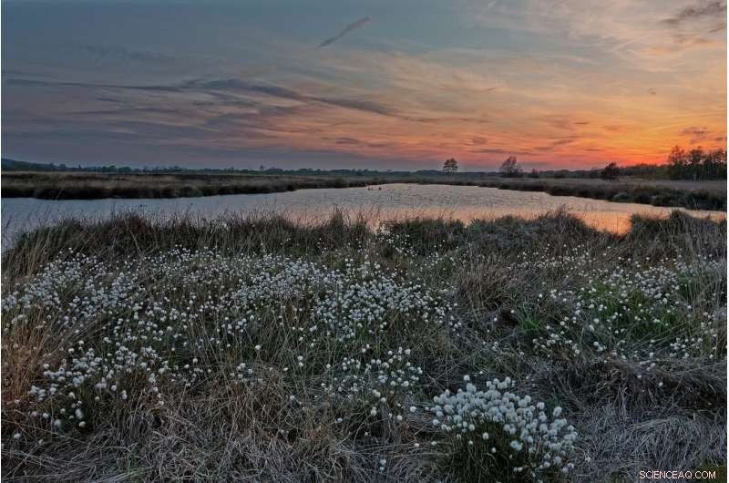 Scientists Use Climate and Land‑Use Data to Forecast Impacts on the Broad Run Watershed