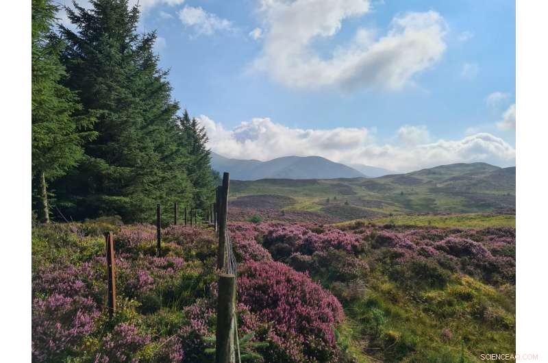 Researchers Urge Broader Strategies for Achieving Realistic Net‑Zero Goals