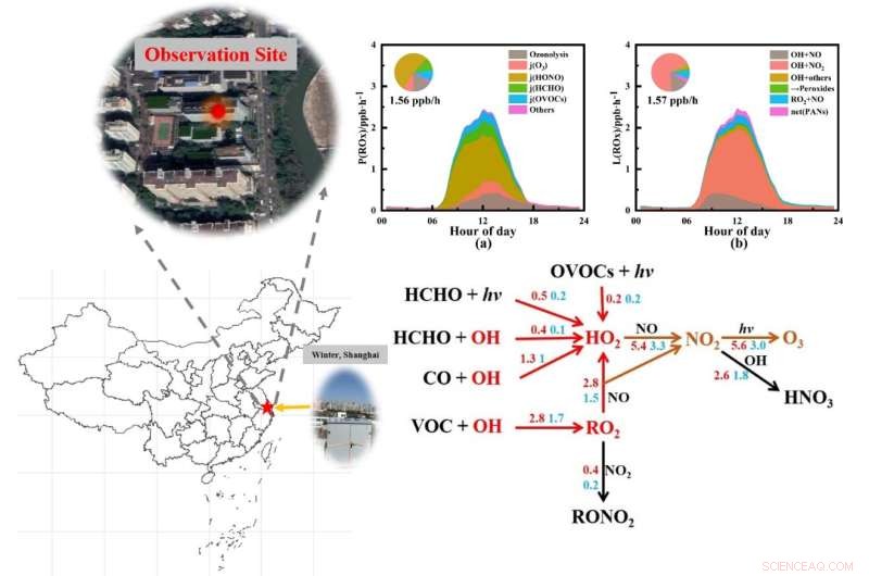 Hidden Urban Ozone Production: Higher HOx Radicals Revealed by Novel Instrument