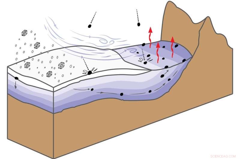 AI-Driven Search Uncovers Meteorites in Antarctica: A Machine Learning Breakthrough