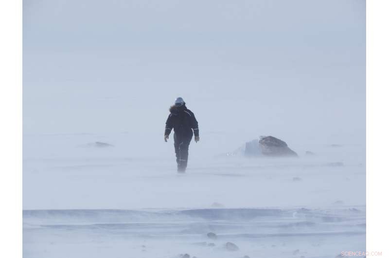 AI-Driven Search Uncovers Meteorites in Antarctica: A Machine Learning Breakthrough