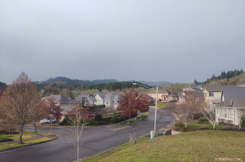 Study Links Decline in Forest and Agricultural Development to Rising Gas Prices