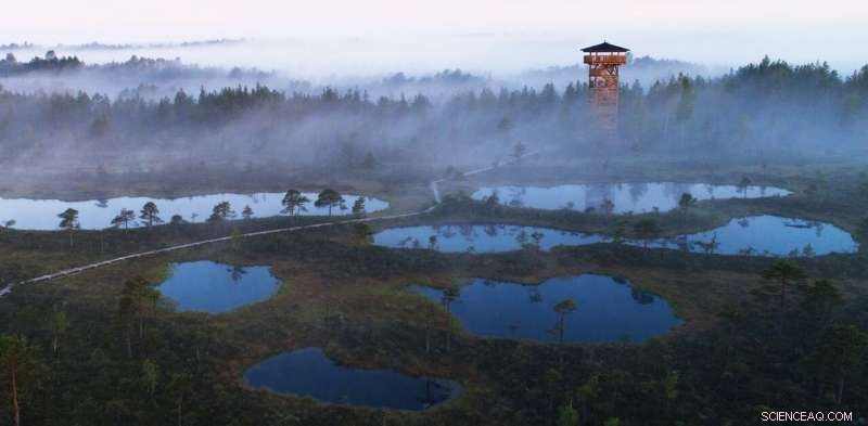 Record-High Atmospheric Methane Levels: Implications for Climate Change