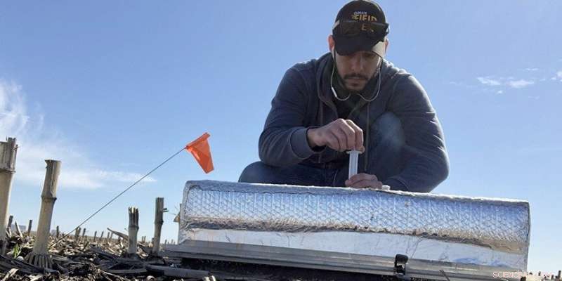 New Study Reveals Trade‑Off Between Farm Water Quality and Nitrous Oxide Emissions