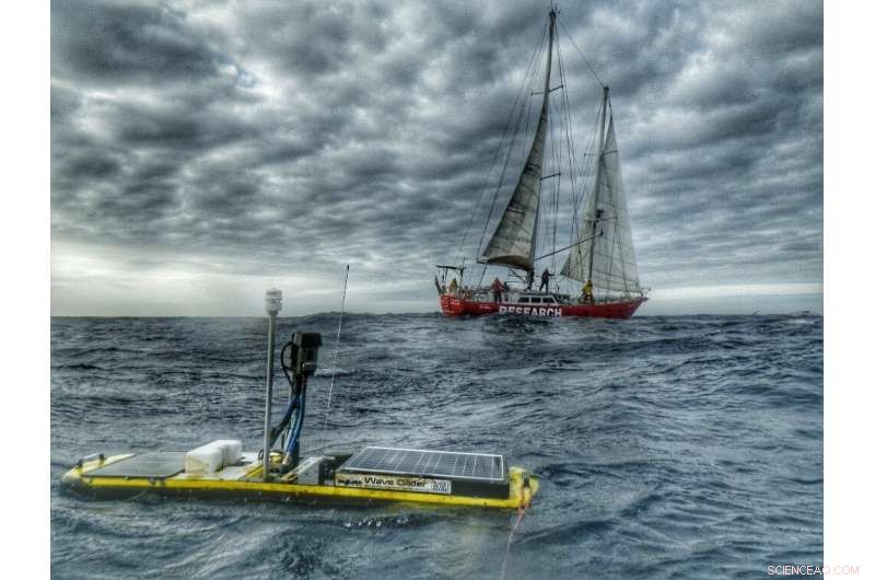 Southern Ocean Storms Drive Carbon Dioxide Outgassing, New Study Reveals