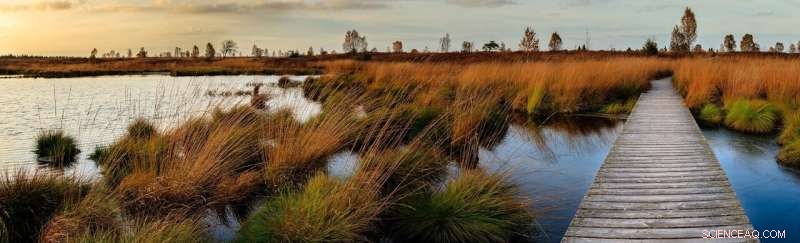 Economic Model Reveals Southern Ontario Wetlands Deliver Billions in Water Filtration Value