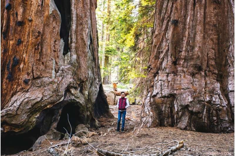 Safeguarding Sequoias and Fire Lilies: Effective Climate‑Change Strategies