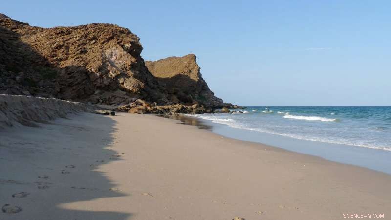 Radiometric Dating Illuminates Tectonic Subduction vs. Obduction Debate