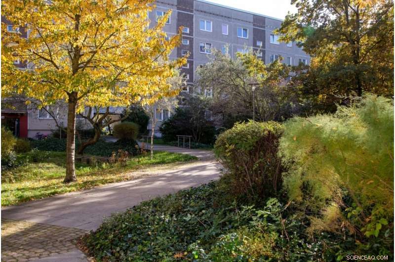 Green Backyards: Enhancing Urban Climate Resilience