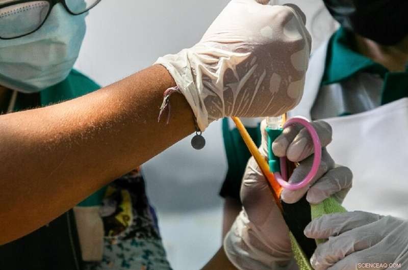 Peru Urges Swift Action to Rescue Seabirds Affected by Massive Oil Spill