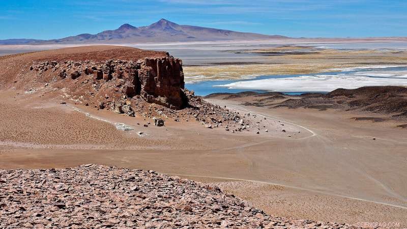 Unveiling the Mysteries of Rare Rainfall in Earth s Driest Desert