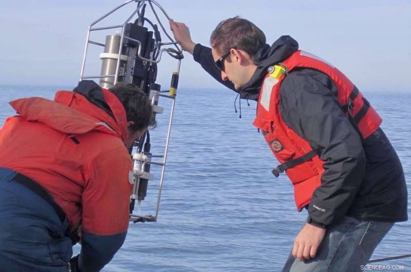 Rising Marine Heat Waves Threaten Coastal Habitats – New Study Reveals Alarming Trends