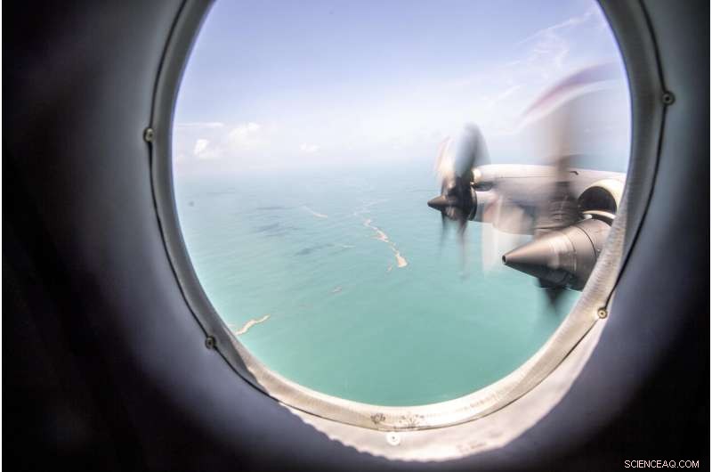 Volcanic Ash Delays Aid to Tonga as Damage Scale Becomes Clear