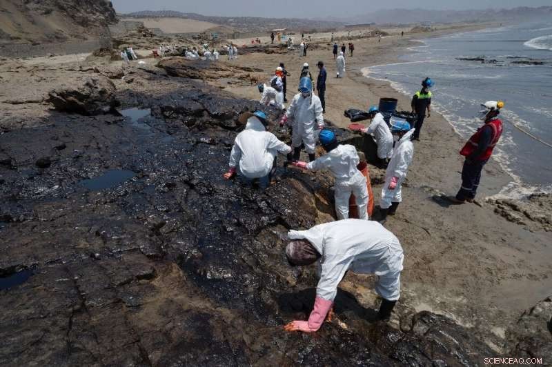 Peru Beaches Cleared After Oil Spill Linked to Tonga Volcano‑Generated Waves