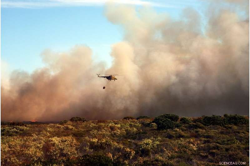 U.S. Announces $50B Wildfire Mitigation Initiative to Protect Forests and Communities