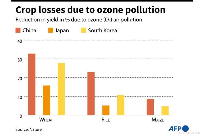 Study Reveals Ozone Pollution Drives $63B Annual Crop Losses Across Asia