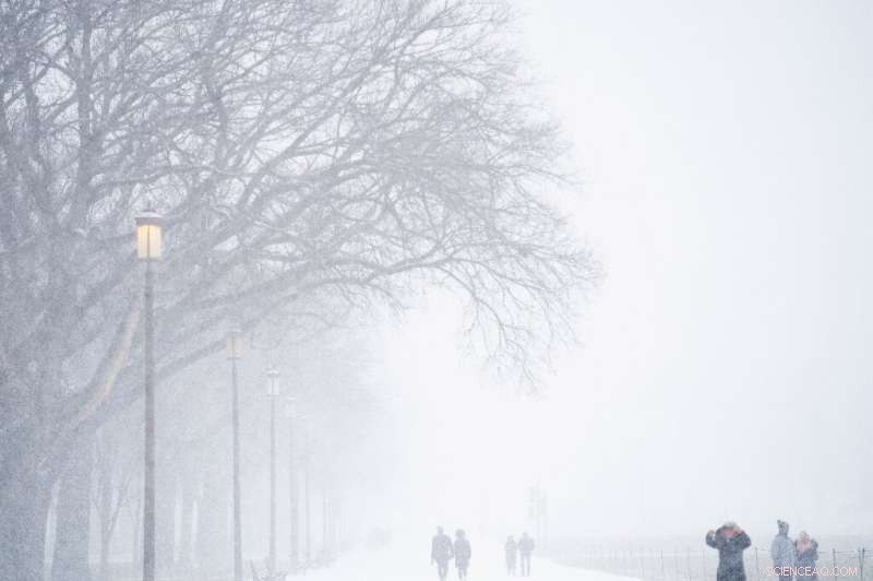 Massive Winter Storm Disrupts Travel & Power Across Eastern US and Canada