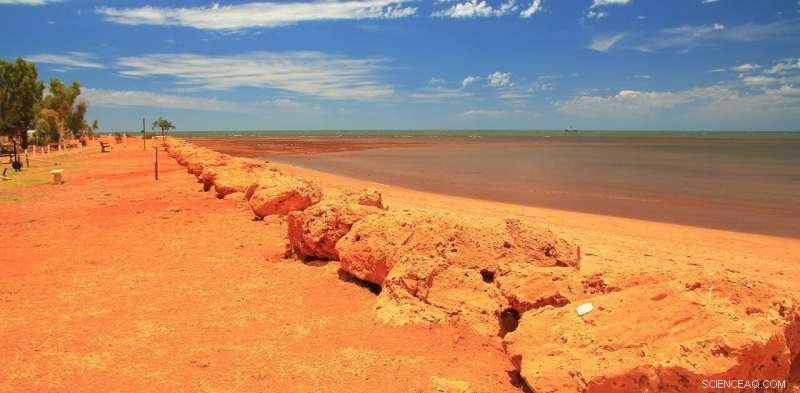 Onslow, WA Reaches 50°C – A New Climate Reality for Australians