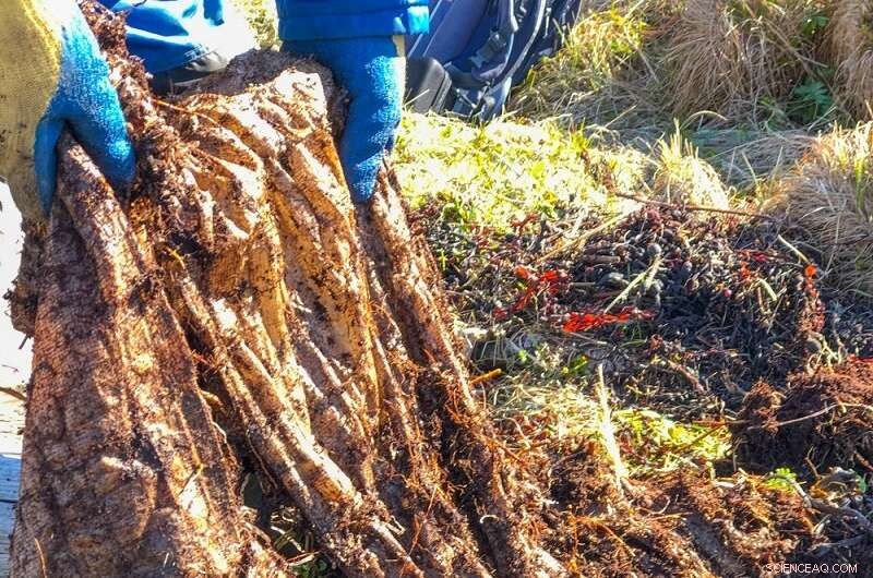 Norway’s Coastal Reserve Threatened by Plastic Pollution