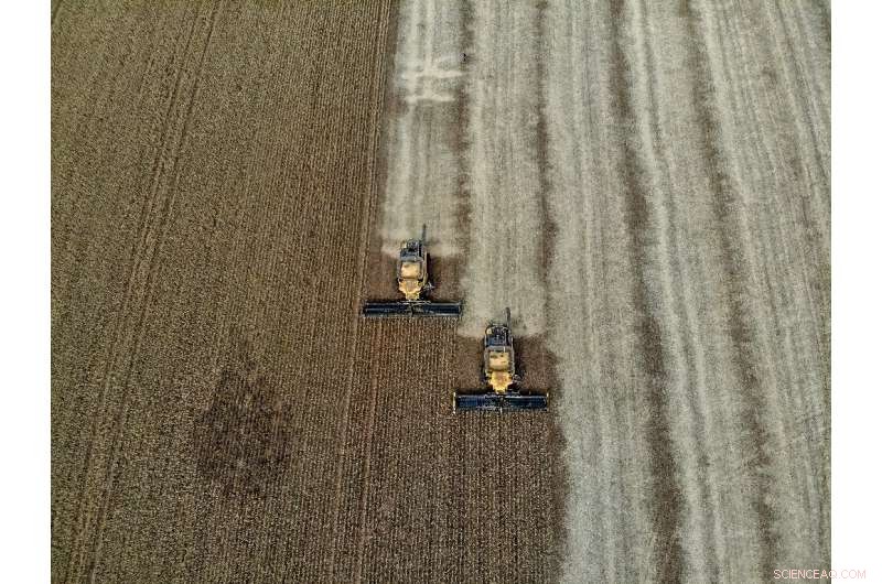 Major Global Companies Fail to Honor COP26 Forest Protection Commitments, New Report Finds