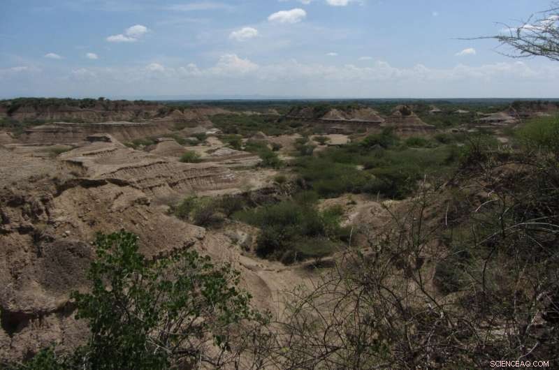 230,000-Year-Old Human Remains Found in Eastern Africa, Redefining Evolutionary Timelines