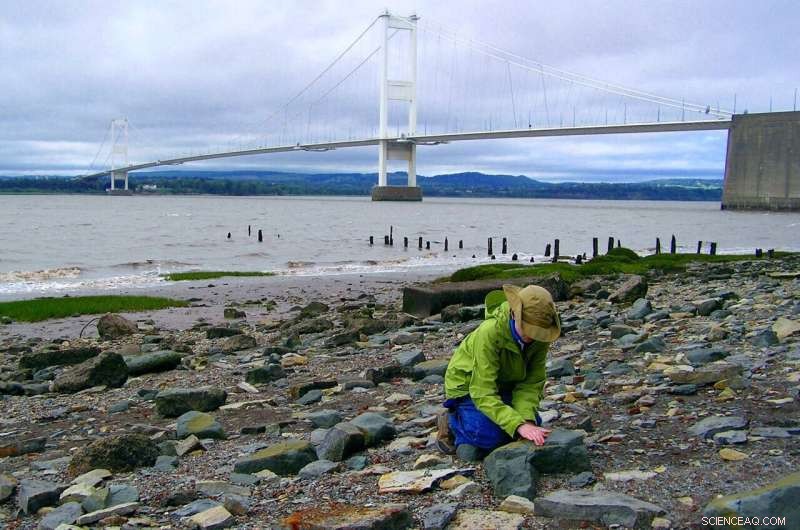 Microplastics Persist in Riverbeds Up to Seven Years Before Reaching the Ocean