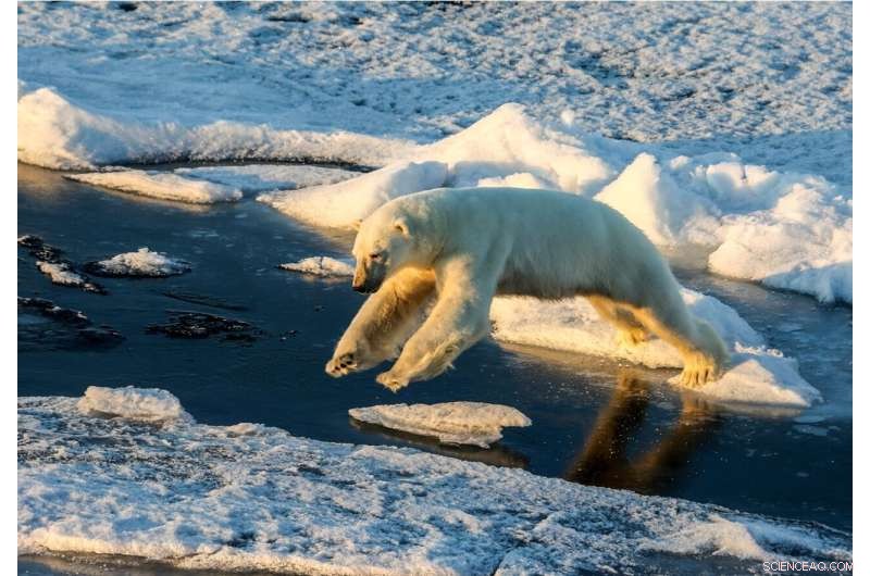 Upper‑Ocean Heat Reaches Record Highs Again, Marking Sixth Consecutive Year of Peak Warmth