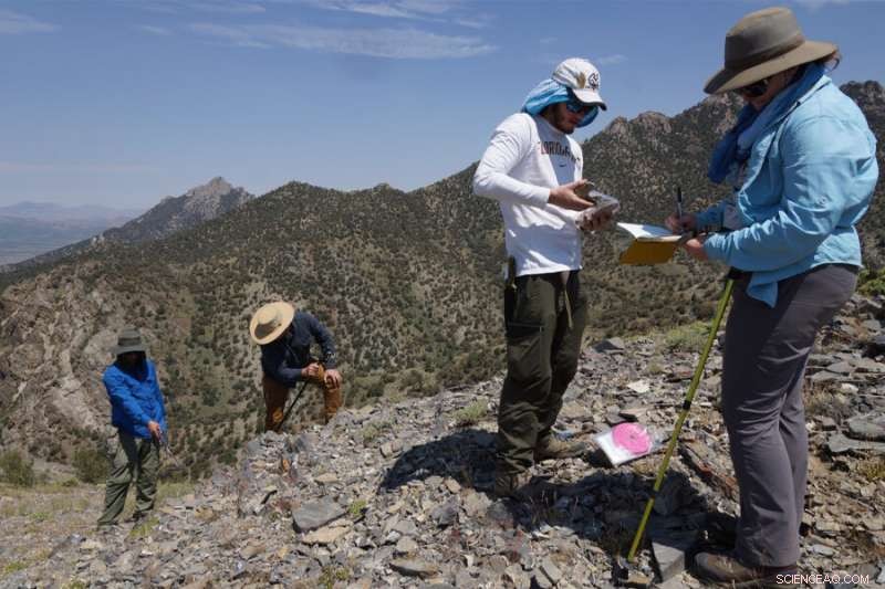 Low Oxygen and Sulfide Levels in Oceans Key Drivers of the Late Ordovician Mass Extinction