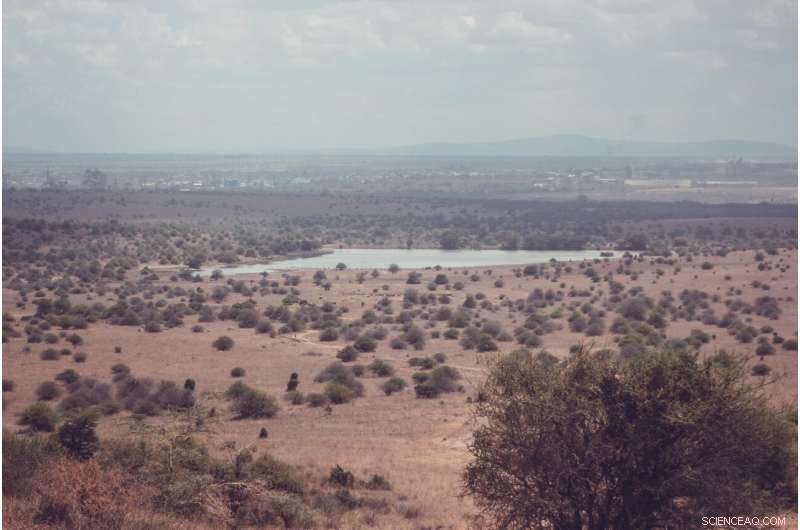 Data Reveals Nairobi’s Unequal Water Distribution: Key Insights for Change