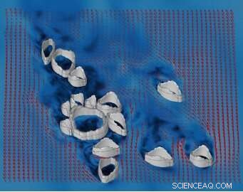 Paleontologists Use Fluid Dynamics to Reveal 550‑Million‑Year‑Old Ediacaran Nurseries