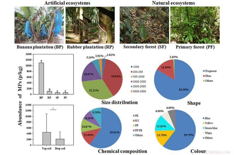 Widespread Soil Microplastic Contamination in Tropical Xishuangbanna Revealed