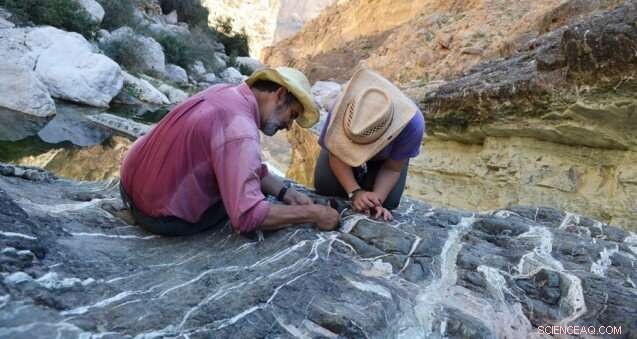 Decarbonization Breakthrough: Advanced Technologies Propel Global Climate Action