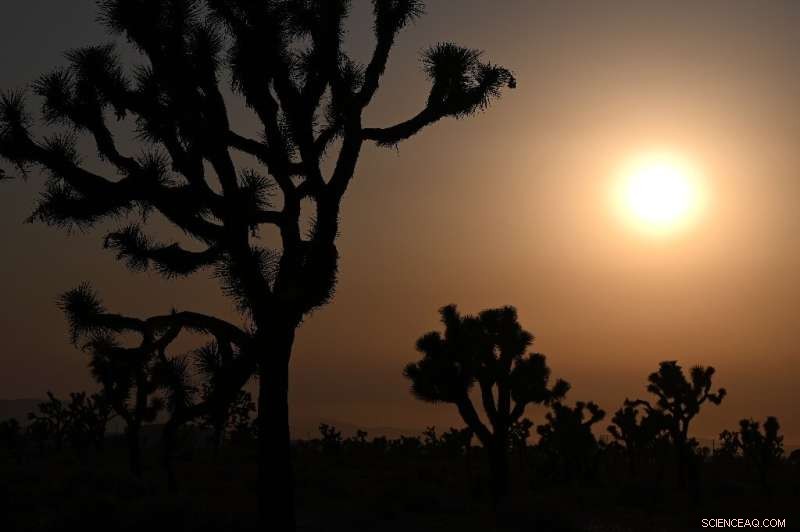 Study Finds Majority of Nations Likely to Face Extreme Heat Years Every Other Year