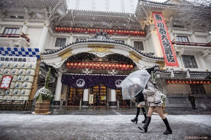 Tokyo s First Heavy Snow in 4 Years: Flights Cancelled, Shrines Snow-Covered