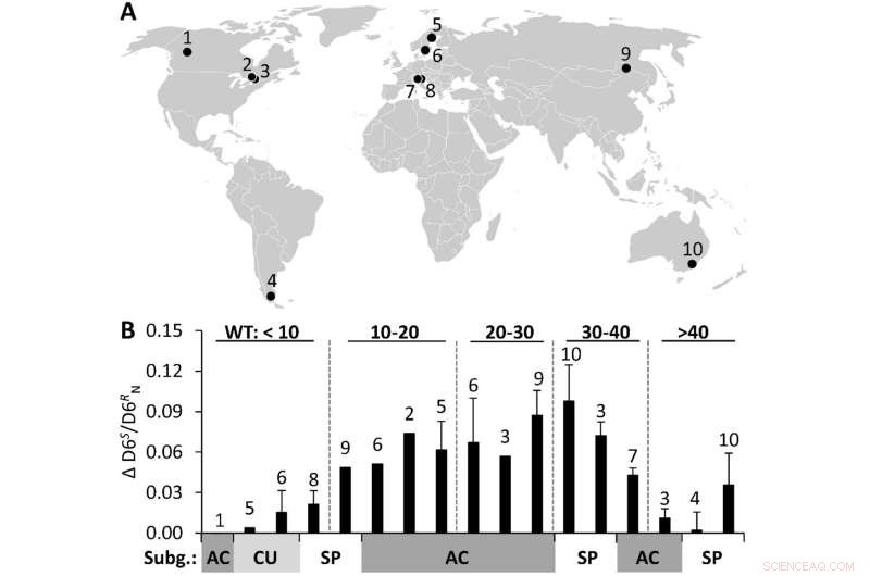 Global CO₂ Rise Impacts Photosynthesis in Peat-Forming Mosses (Sphagnum)