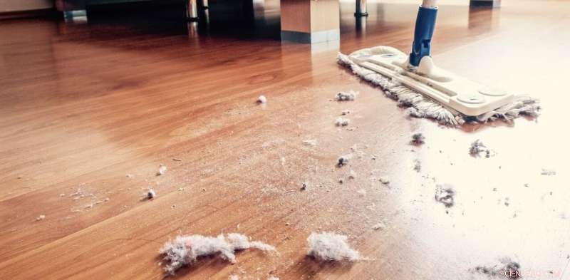 Global Study of Household Dust Shows Toxic Metal Exposure and Health Risks Across 35 Countries