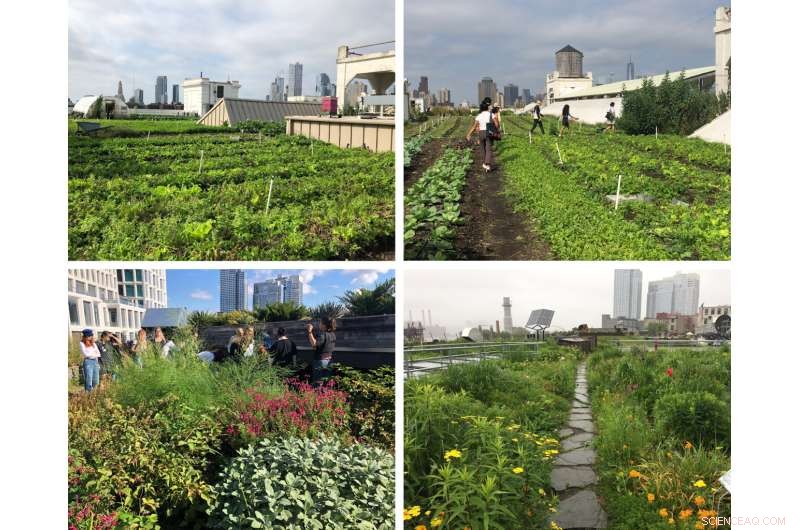 Redefining Green Infrastructure for Inclusive Urban Sustainability