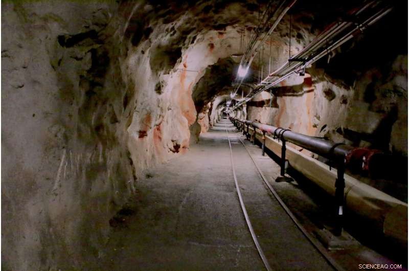 U.S. Agencies Probe Navy Fuel Leak Impact on Pearl Harbor Residents